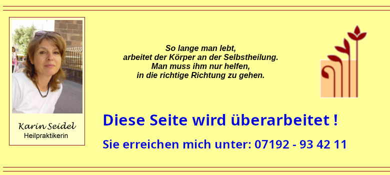 Diese Seite wird zur Zeit überarbeitet